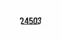 24503 Napkin Holder