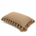 Brown Tassel Pillow