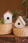 Cement Birdhouses